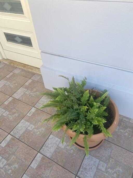New Lovely Apartment In Heraklion Heraklion (Crete) Exterior foto