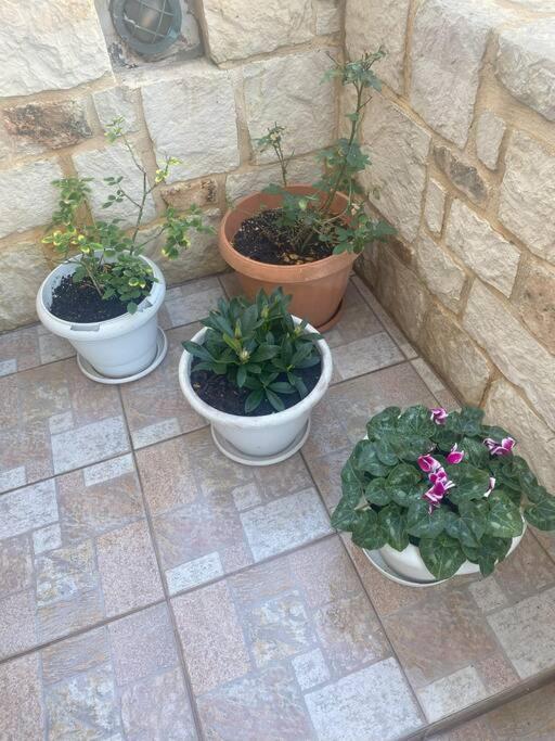 New Lovely Apartment In Heraklion Heraklion (Crete) Exterior foto